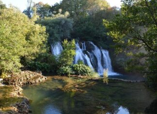 Reshad Effendi the Imprisoned Heir to the Ottoman Throne