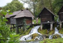 The Ottoman Succession Crisis