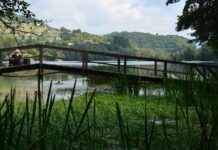 A City Seen from One Spot