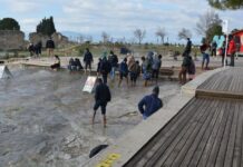 Organisation and Systematic Assistance in Public Health