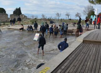 Organisation and Systematic Assistance in Public Health