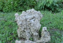 The Escort of the Icon of St. Demetrius